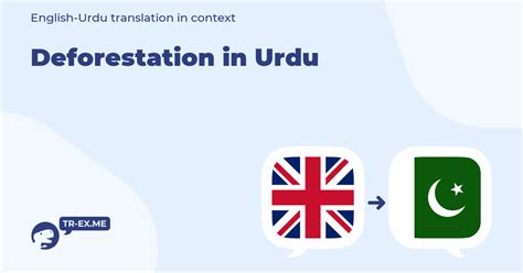 Forestation meaning in urdu